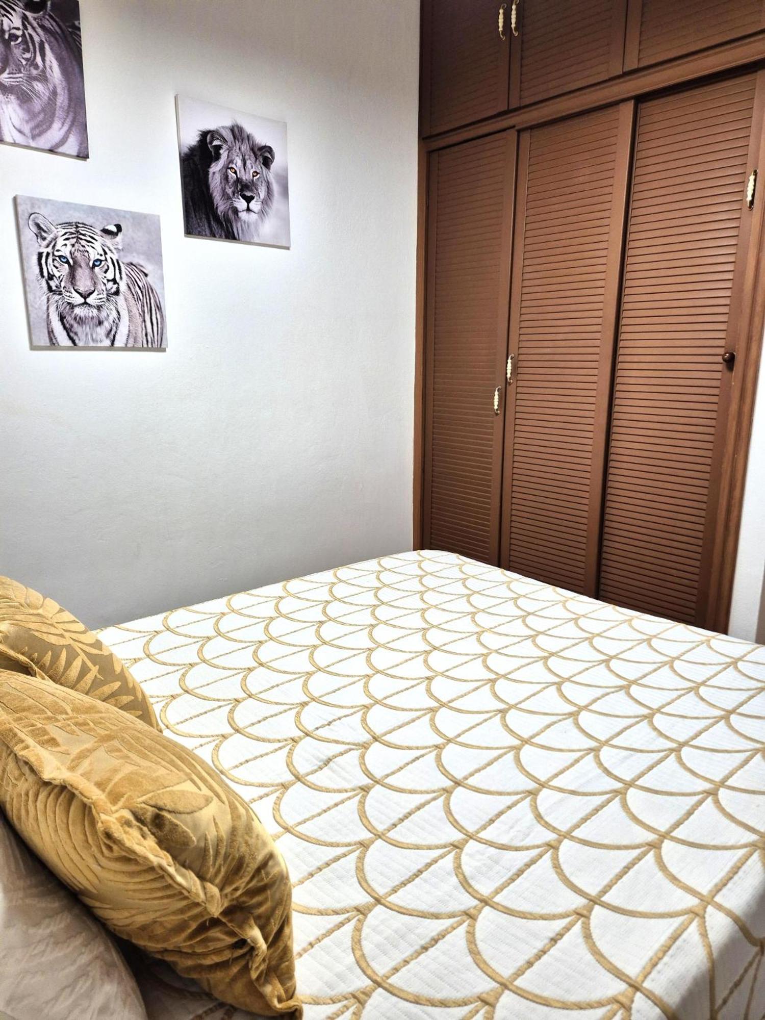 פוארטו דל רוסריו Awesome Apartment מראה חיצוני תמונה